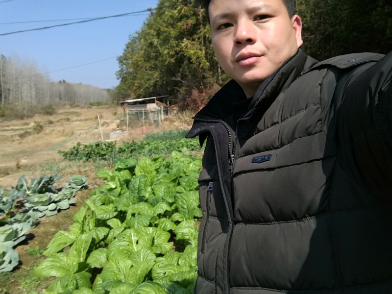 倔强的驴的第一张照片--漳浦相亲网